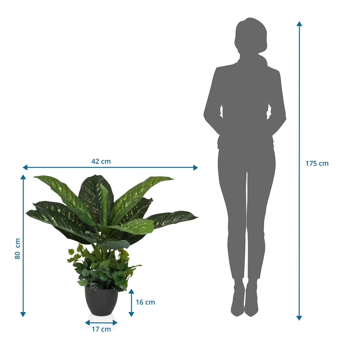 Dessin coté de la Plante artificielle DIEFFENBACHIA d'une hauteur de 80 cm et d'une largeur de 42 cm de hjh OFFICE