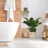 Plante artificielle verte DIEFFENBACHIA dans un panier tressé dans la salle de bain de hjh OFFICE