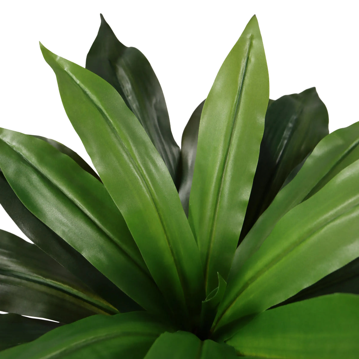 Feuilles vertes de la Plante artificielle DRACAENA I de hjh OFFICE