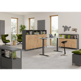 Trois caissons de la série FlexWall en graphite avec pieds réglables et éléments en bois de hjh OFFICE PRO