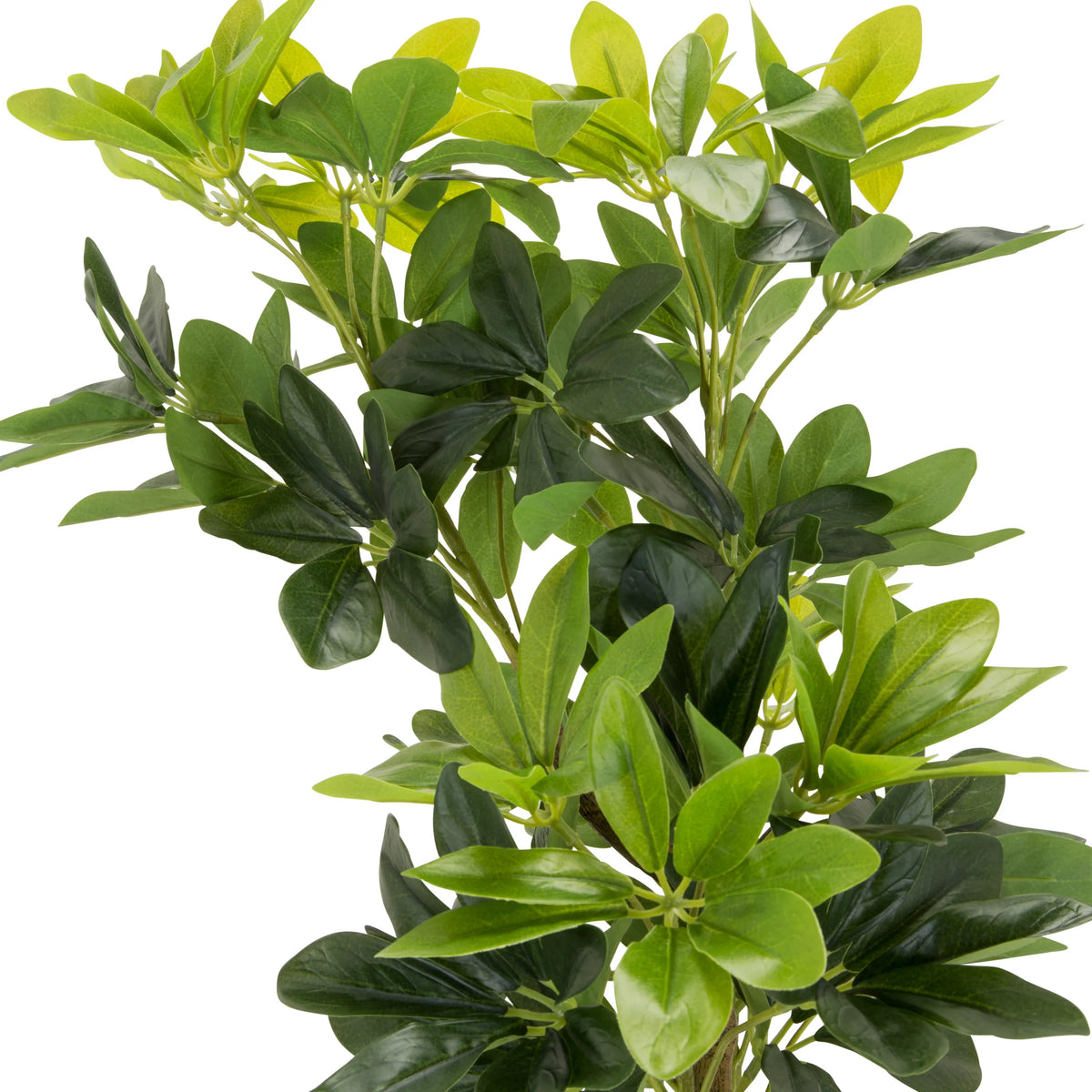 Feuilles vertes de la plante artificielle SCHEFFLERA de hjh OFFICE