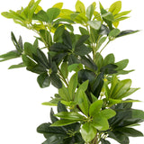 Feuilles vertes de la plante artificielle SCHEFFLERA de hjh OFFICE