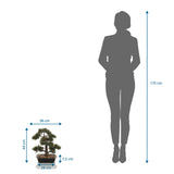 Vue dimensionnelle de la Plante artificielle BONSAI d'une hauteur de 44 cm comparée à une personne de hjh OFFICE