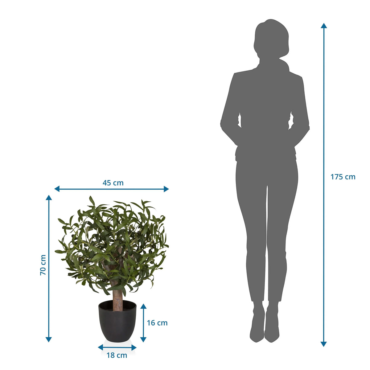 Vue dimensionnelle de la Plante artificielle Olive S avec une hauteur de 70 cm et une largeur de 45 cm de hjh OFFICE