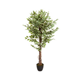 Plante artificielle verte FICUS avec tronc tressé dans un pot noir de hjh OFFICE – vue à 360° (vue de face 0°)
