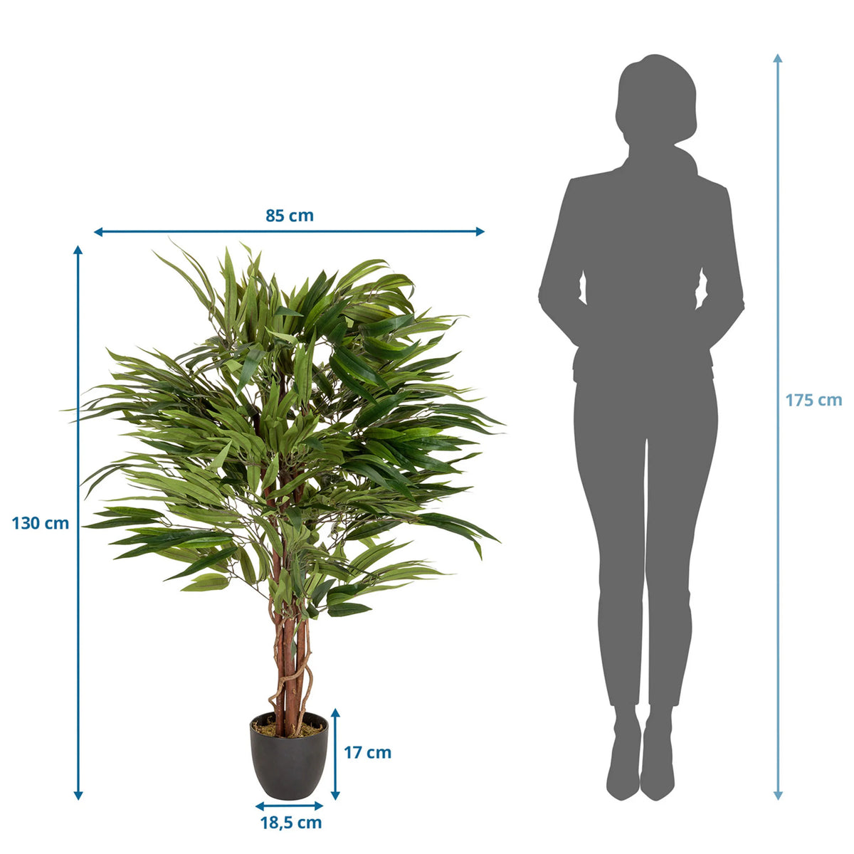 Dessin dimensionnel de la Plante artificielle MANGO avec une hauteur de 130 cm et une largeur de 85 cm de hjh OFFICE