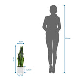 Vue dimensionnelle de la Plante artificielle SANSEVIERIA d'une hauteur de 65 cm à côté d'une silhouette de personne de hjh OFFICE
