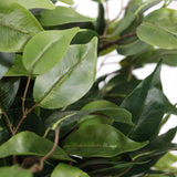 Feuilles vertes de la plante artificielle FICUS II de hjh OFFICE