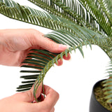 Gros plan des frondes vertes de la plante artificielle CYCAS de hjh OFFICE