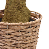 Panier tressé avec la tige de la plante artificielle OLIVE II de hjh OFFICE