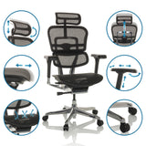 Luxus-Chefsessel ERGOHUMAN GEN2 mit verstellbarer Kopfstütze, Armlehnen und Netzbezug in Schwarz von hjh OFFICE