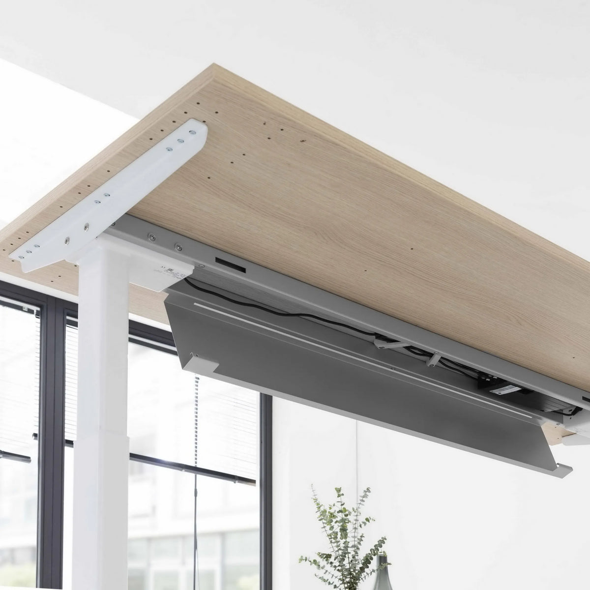 Unterkonstruktion und Tischplatte in Asteiche des elektrisch höhenverstellbaren Schreibtischs XBHM 12 WC von hjh OFFICE PRO