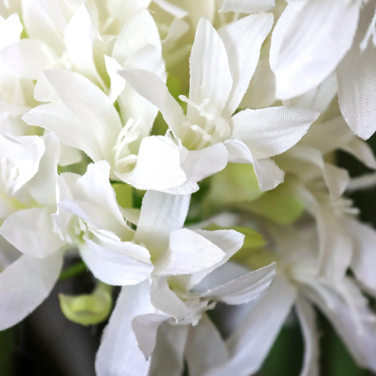 Fleurs blanches de la plante artificielle AGAPANTHUS de hjh OFFICE