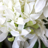 Fleurs blanches de la plante artificielle AGAPANTHUS de hjh OFFICE
