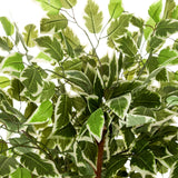 Feuilles panachées vert et blanc de la Plante artificielle FICUS de hjh OFFICE