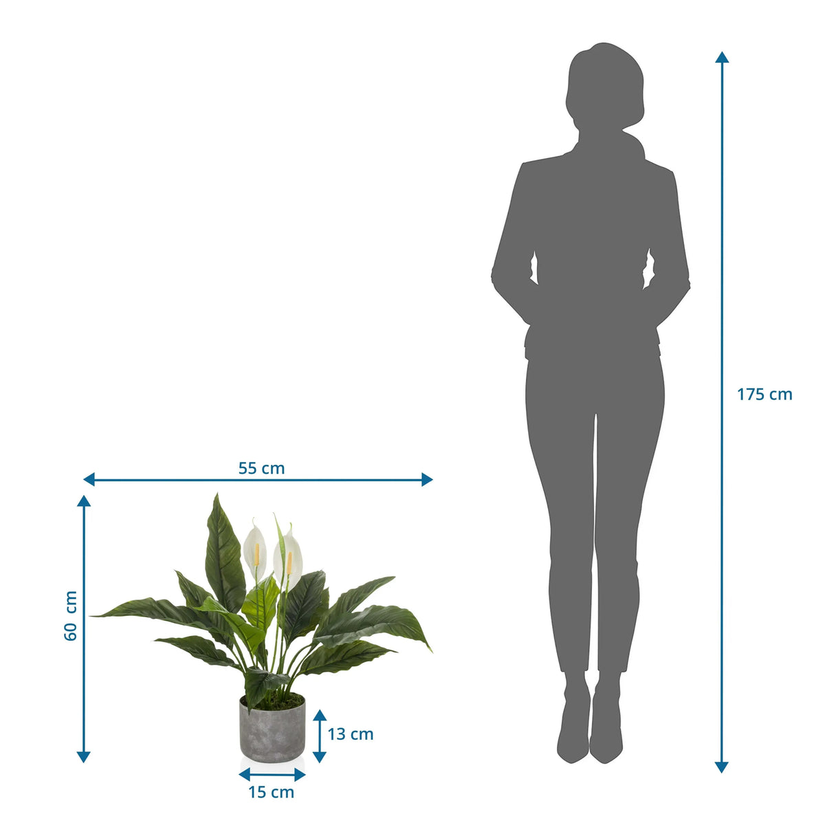 Dessin coté de la Plante artificielle Spathiphyllum 1 de 60 x 55 cm comparée à une personne de hjh OFFICE