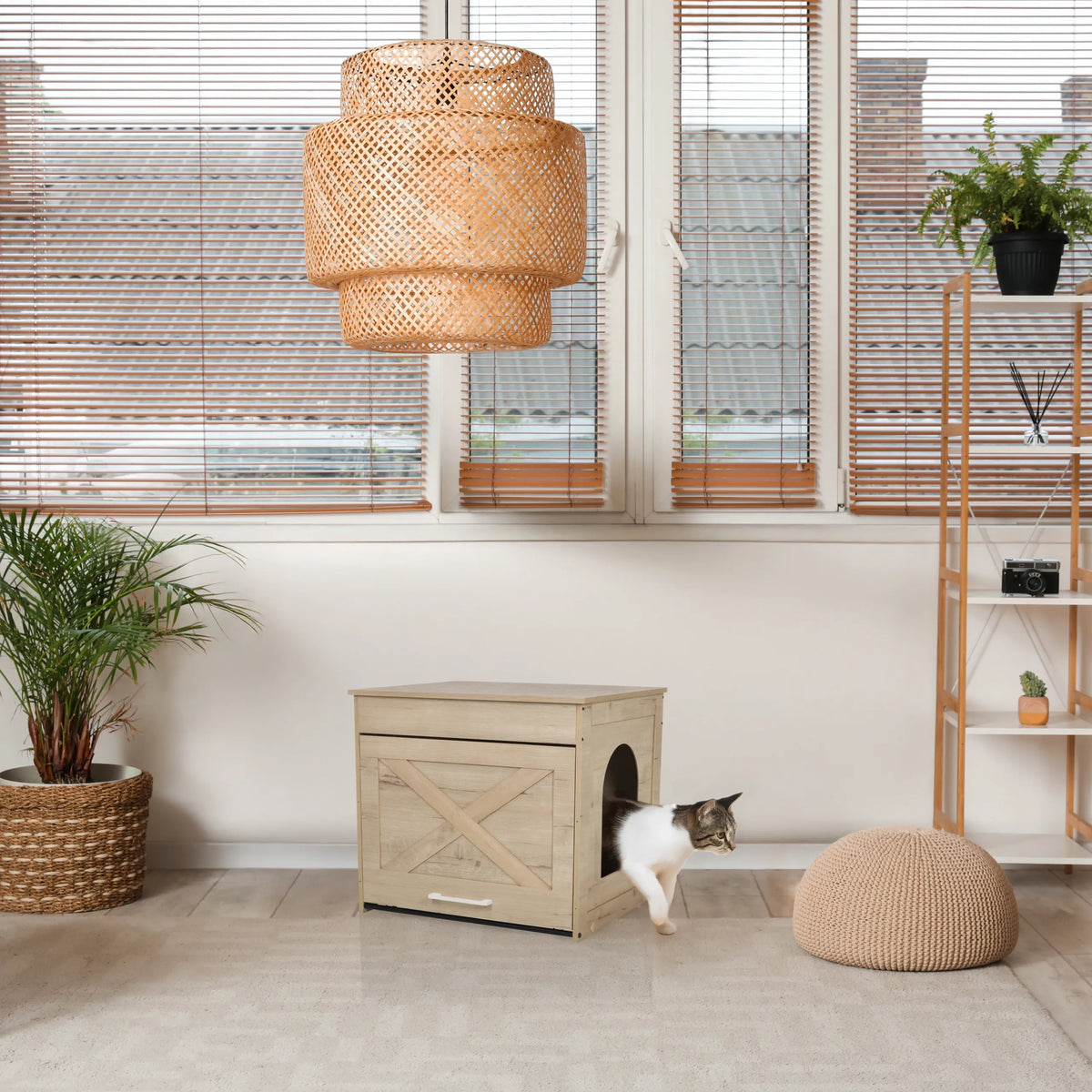 Maison pour chat KITTY PAWBOX 1 aspect chêne avec entrée circulaire et décoration frontale de hjh LIVING