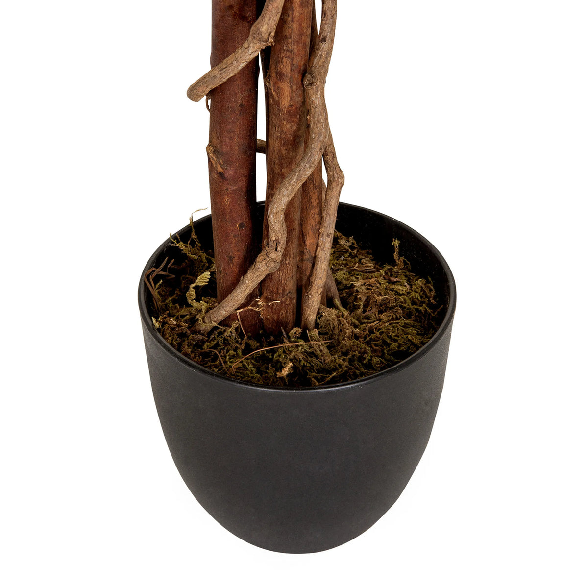 Tronc et pot de fleurs noir avec couche de mousse de la plante artificielle MANGO de hjh OFFICE