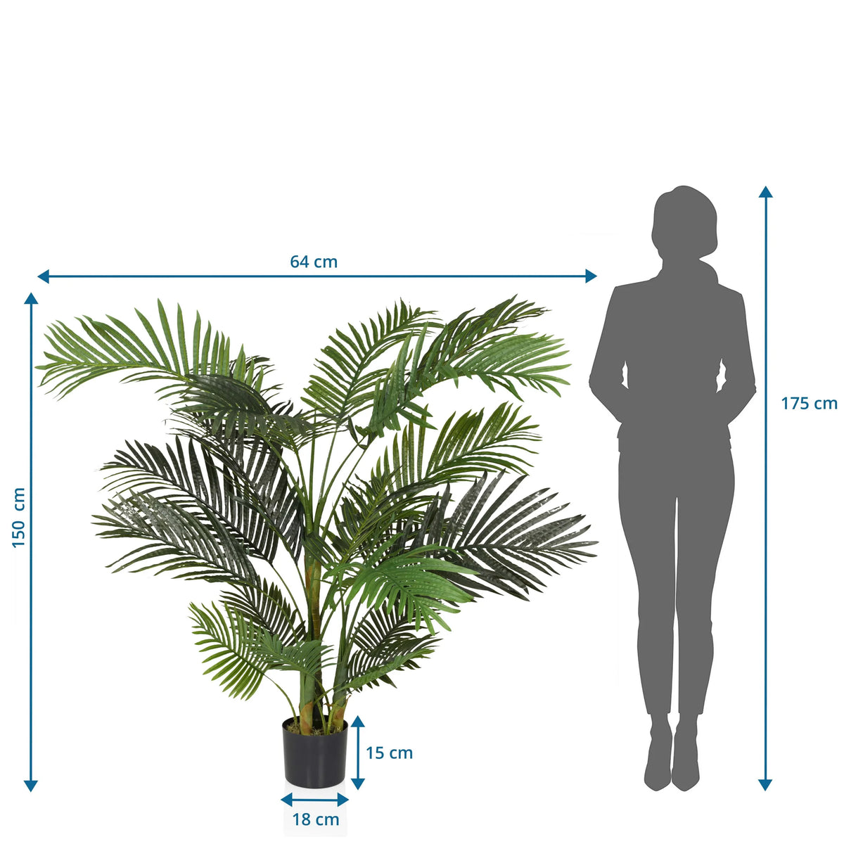 Dessin coté de la Plante artificielle ARECA II d'une hauteur de 150 cm et d'une largeur de 64 cm de hjh OFFICE