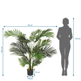 Dessin coté de la Plante artificielle ARECA II d'une hauteur de 150 cm et d'une largeur de 64 cm de hjh OFFICE