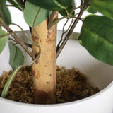 Tige et feuilles de la plante artificielle FICUS II dans un pot blanc de hjh OFFICE