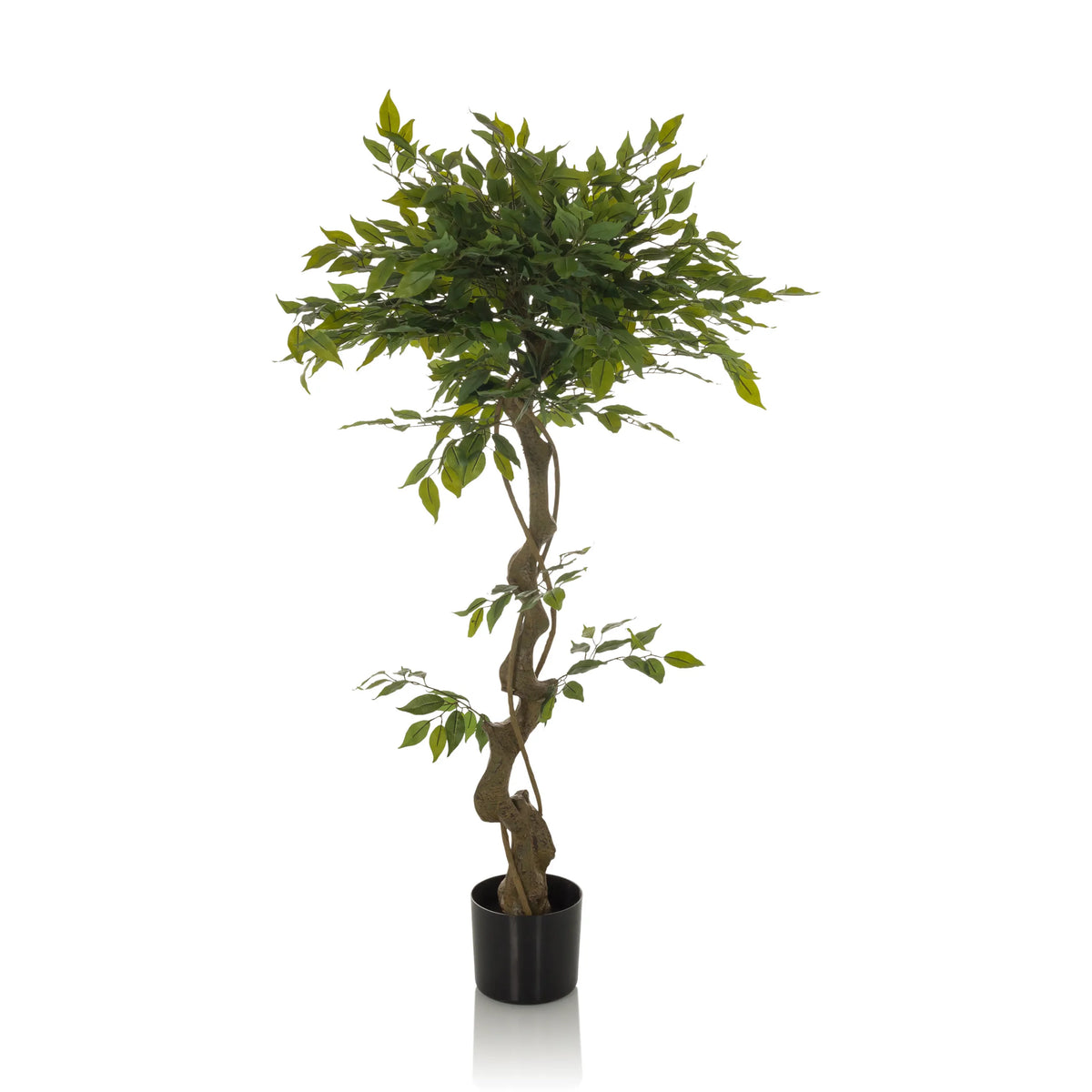 Plante artificielle verte FICUS I avec tronc tressé dans un pot noir de hjh OFFICE – vue à 360° (vue de face 0°)