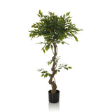 Plante artificielle verte FICUS I avec tronc tressé dans un pot noir de hjh OFFICE – vue à 360° (vue de face 0°)