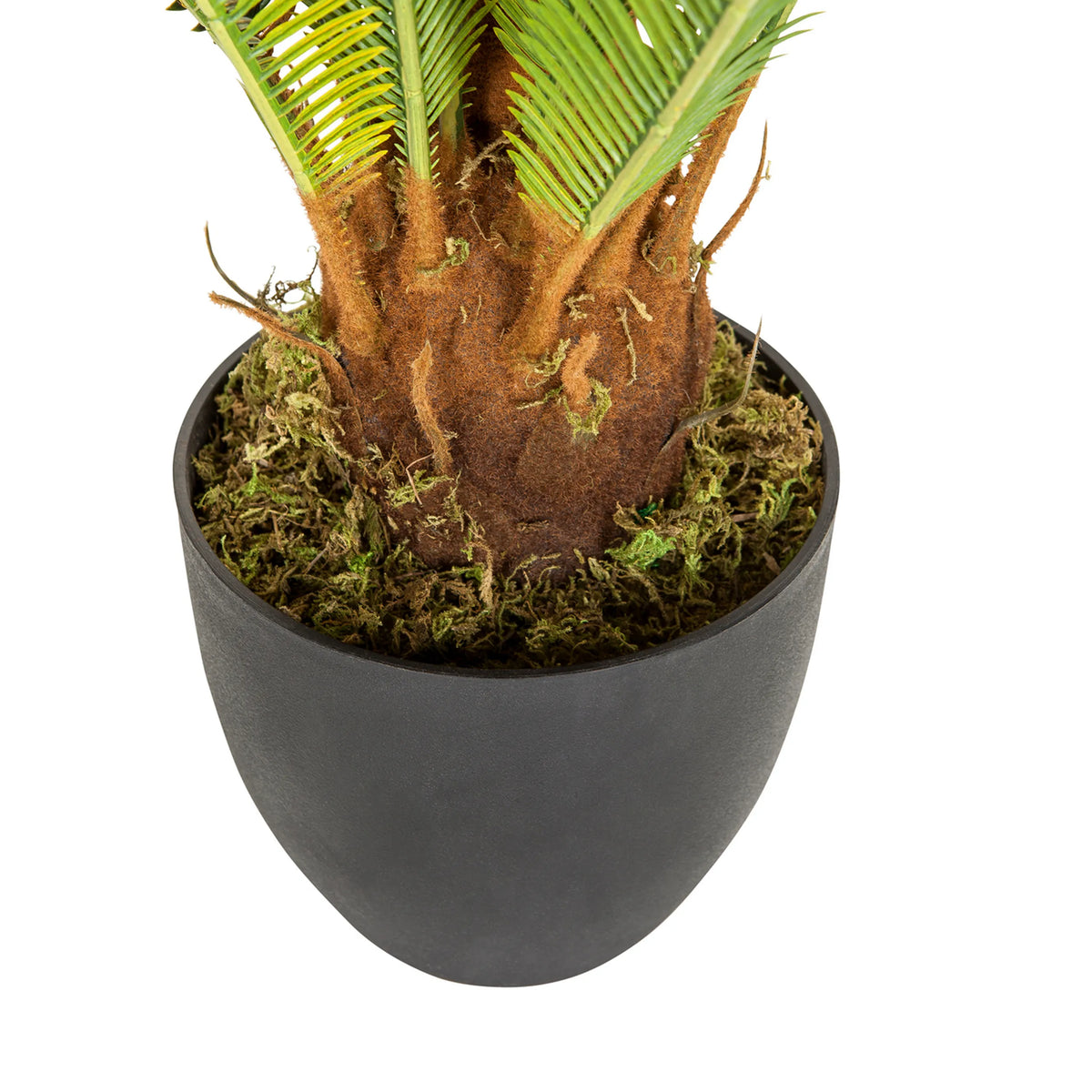 Tronc et cache-pot noir de la Plante artificielle CYCAS de hjh OFFICE