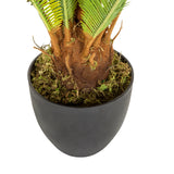 Tronc et cache-pot noir de la Plante artificielle CYCAS de hjh OFFICE