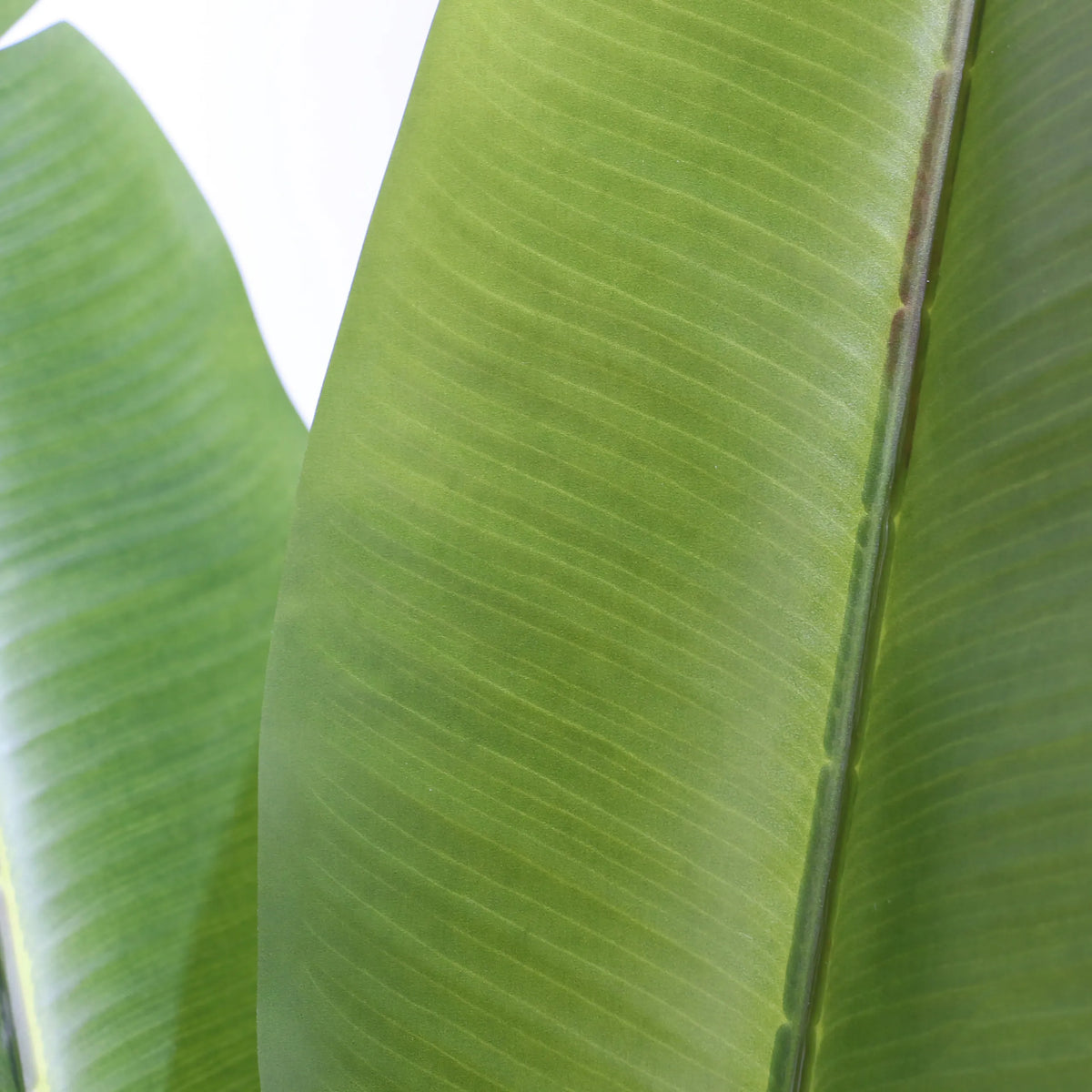Structure de feuilles vertes de la Plante artificielle BANANE de hjh OFFICE