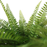Frondes vertes de fougère de la Plante artificielle Proliferum de hjh OFFICE