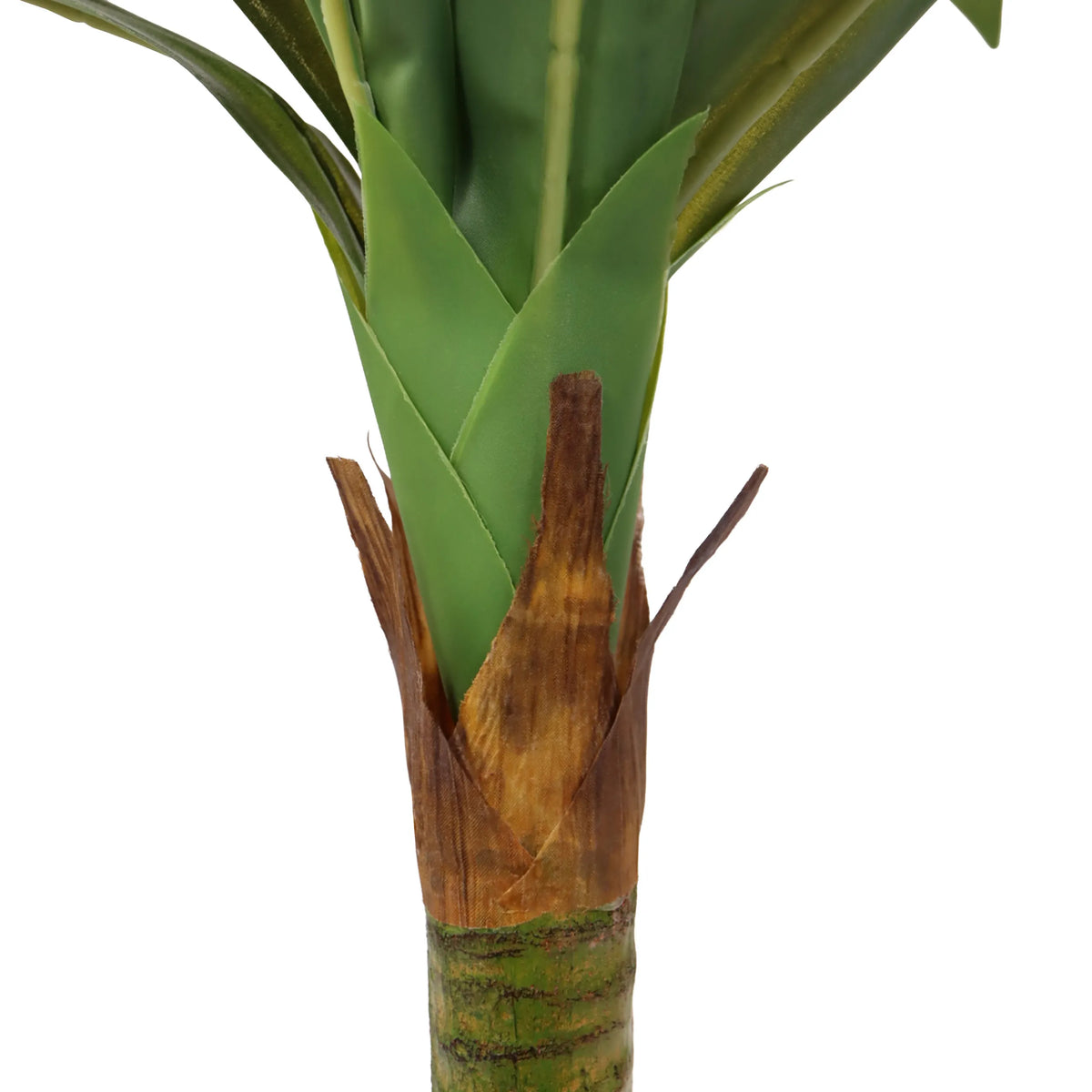 Base de la tige et feuilles vertes de la Plante artificielle DRACAENA I de hjh OFFICE