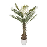 Plante artificielle verte DRACAENA en forme de palmier avec cache-pot blanc de hjh OFFICE – vue à 360° (vue de profil 90°)