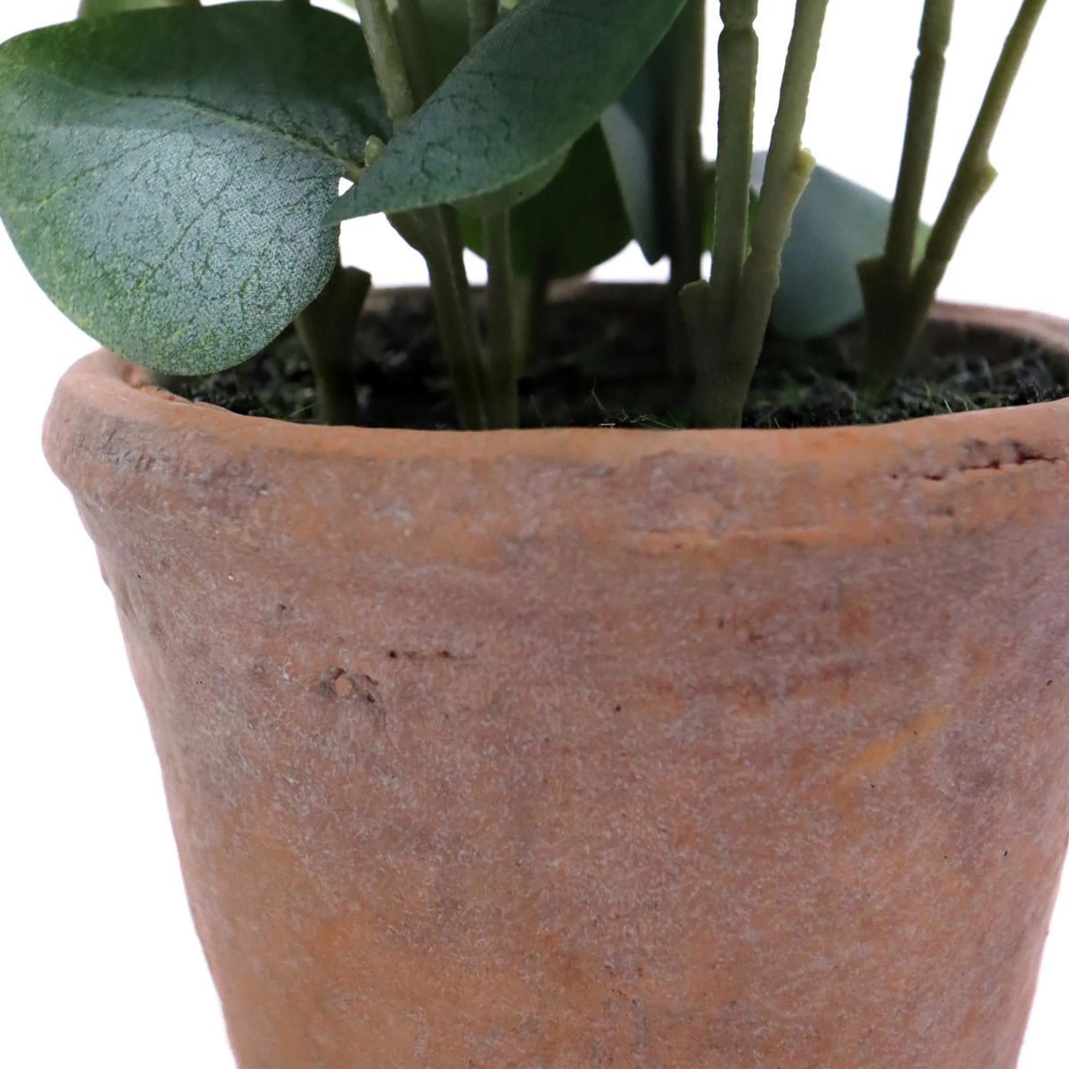 Pot en terre cuite de la plante artificielle Eucalyptus avec des feuilles vertes de hjh OFFICE