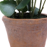 Pot en terre cuite de la plante artificielle Eucalyptus avec des feuilles vertes de hjh OFFICE