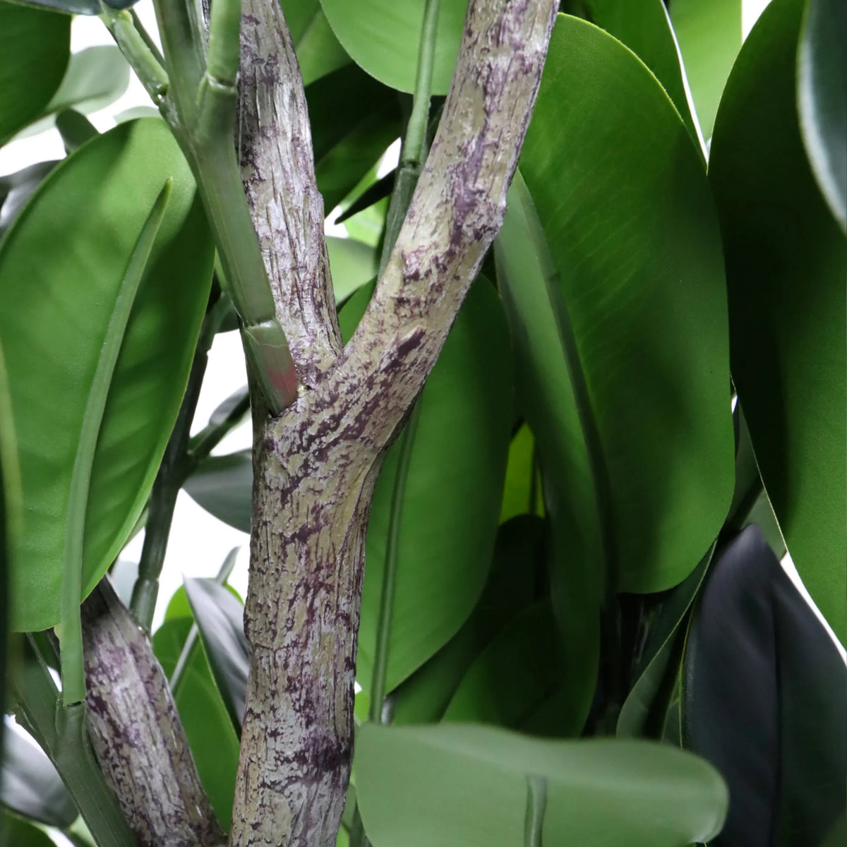 Tige et feuilles vertes de la Plante artificielle Garcinia de hjh OFFICE