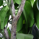 Tige et feuilles vertes de la Plante artificielle Garcinia de hjh OFFICE
