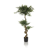 Plante artificielle verte ACACIA avec tronc torsadé dans un pot noir de hjh OFFICE – vue à 360° (vue de face 0°)