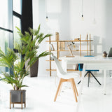 Plante artificielle verte ARECA I dans un pot gris sur un support en bois de hjh OFFICE