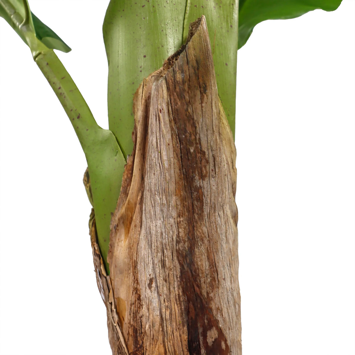 Tronc avec écorce brune de la plante artificielle BANANE I de hjh OFFICE