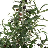 Feuilles et olives sombres de la plante artificielle OLIVE de hjh OFFICE