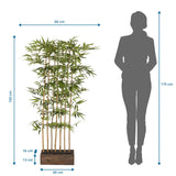 Vue dimensionnelle de la Plante artificielle BAMBUS I avec une hauteur de 150 cm et une largeur de 60 cm de hjh OFFICE