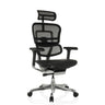 Siège de direction de luxe ERGOHUMAN GEN2 avec dossier en maille noire, assise en cuir et pied chromé de hjh OFFICE