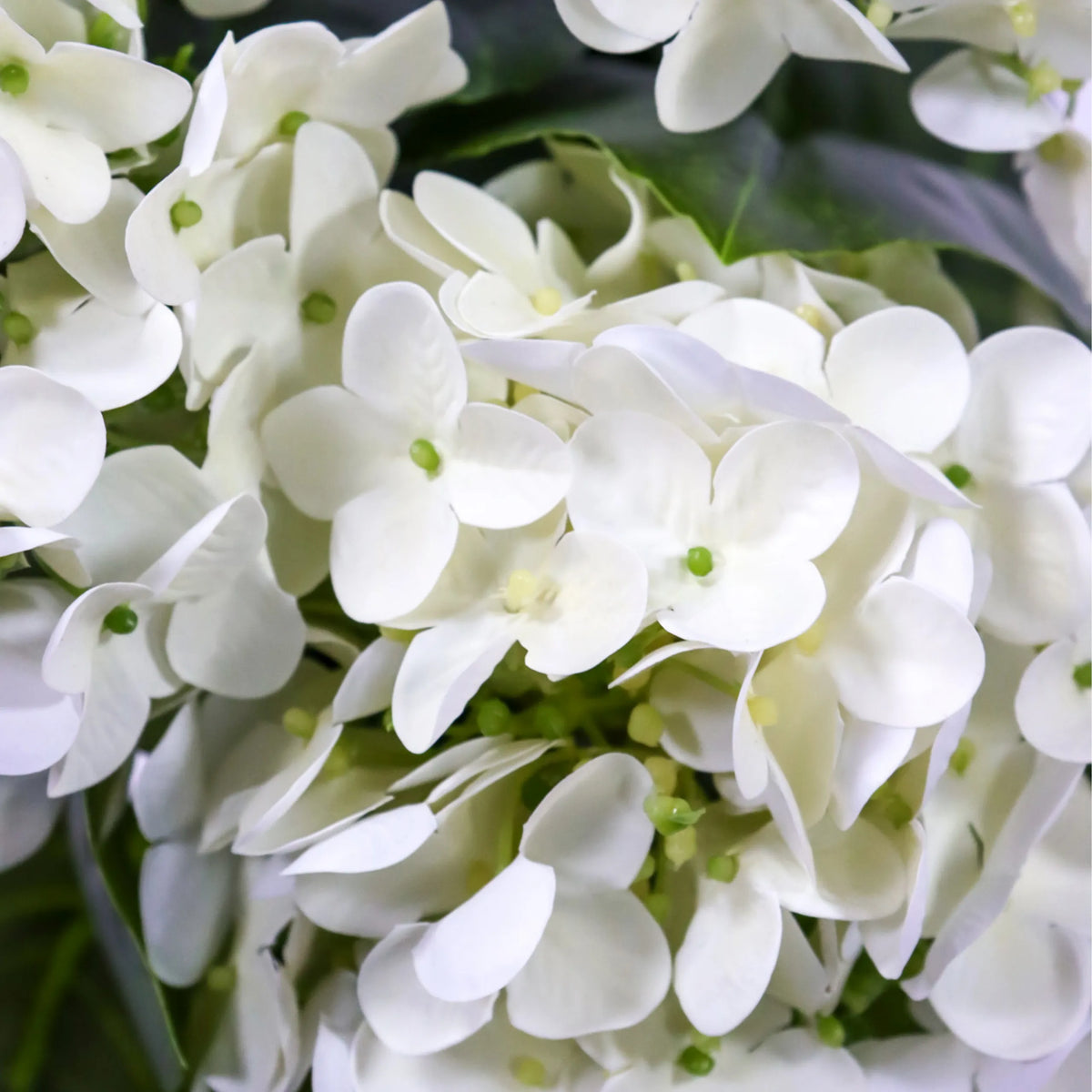 Fleurs blanches de la Plante artificielle HYDRANGEA avec des touches de vert de hjh OFFICE