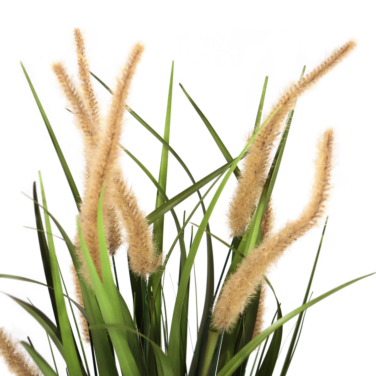 Herbes beige-vert de la plante artificielle CORTADERIA I avec des épis floraux duveteux de hjh OFFICE
