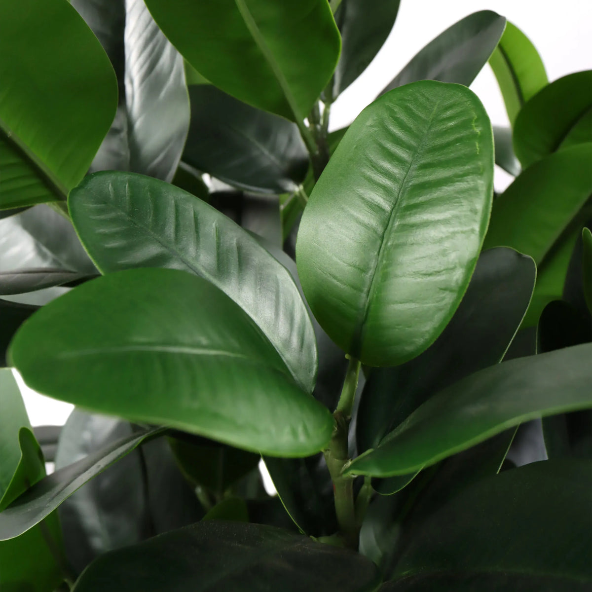 Feuilles vertes de la plante artificielle Garcinia de hjh OFFICE