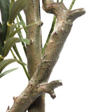 Tige brune structurée de la Plante artificielle OLIVE I de hjh OFFICE