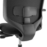 Support lombaire du dossier du Siège de bureau de qualité professionnelle Delvia en noir de hjh OFFICE