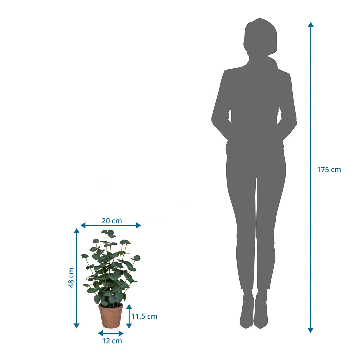 Dessin coté de la Plante artificielle Eucalyptus d'une hauteur de 48 cm à côté d'une silhouette humaine de hjh OFFICE