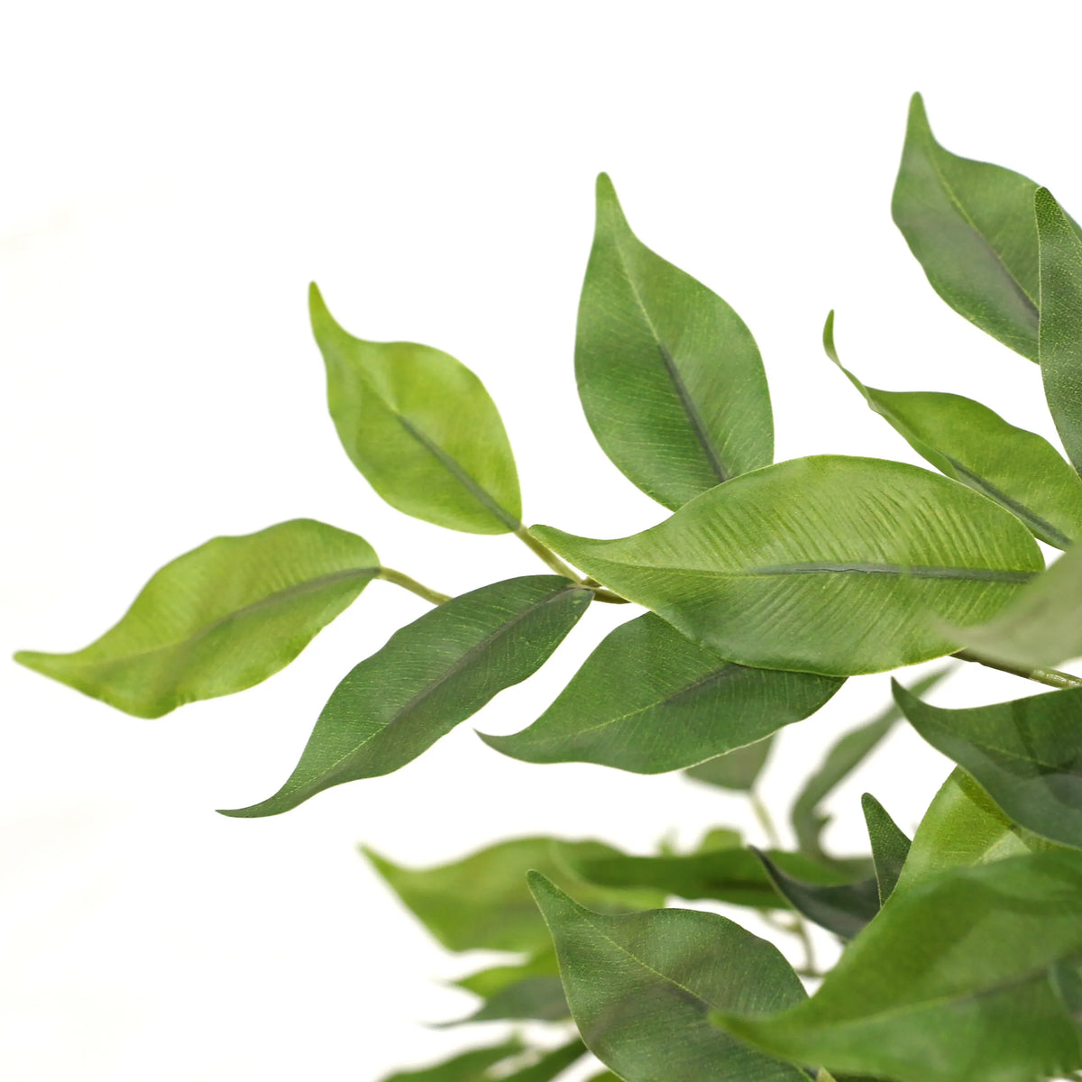 Feuilles vertes de la Plante artificielle FICUS I de hjh OFFICE